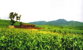 定州の生家 定州の生家