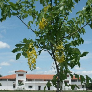 h001